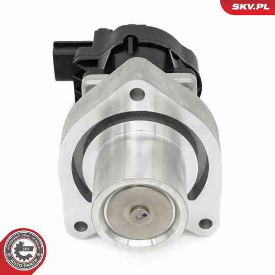 14SKV254 - EGR Valve 