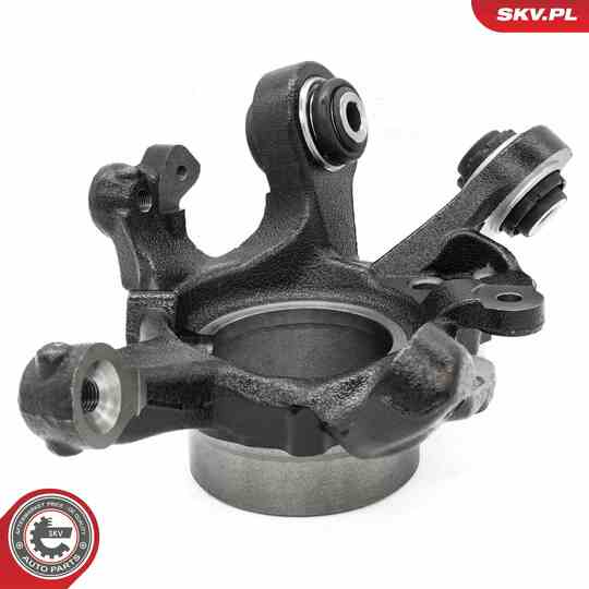 73SKV042 - Steering Knuckle, wheel suspension 