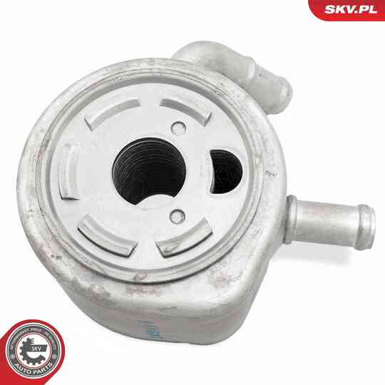 31SKV276 - Oil Cooler, engine oil 