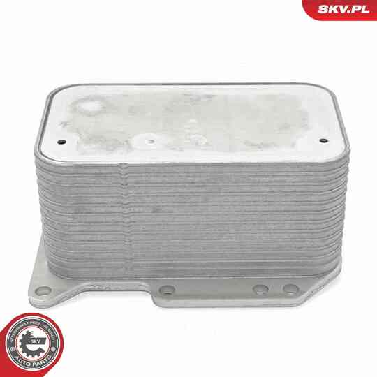 31SKV344 - Oil Cooler, engine oil 