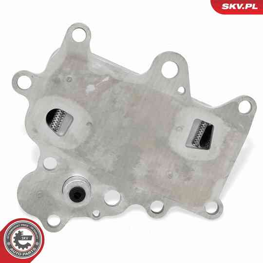 31SKV350 - Oil Cooler, engine oil 