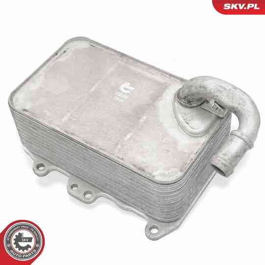 31SKV359 - Oil Cooler, engine oil 