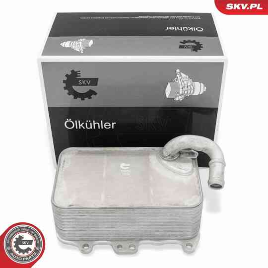 31SKV359 - Oil Cooler, engine oil 