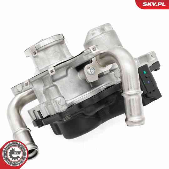 14SKV278 - EGR Valve 