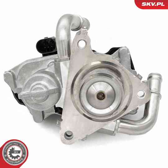 14SKV278 - EGR Valve 