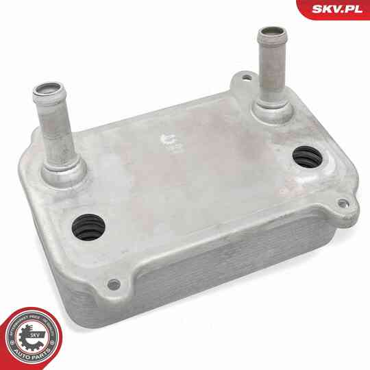 31SKV299 - Oil Cooler, engine oil 