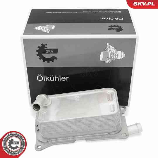 31SKV365 - Oil Cooler, automatic transmission 