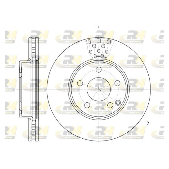 6676.10 - Brake Disc 