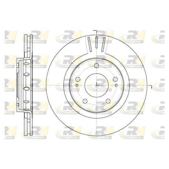 6896.10 - Brake Disc 