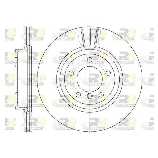 6598.10 - Brake Disc 