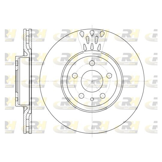 6316.10 - Brake Disc 