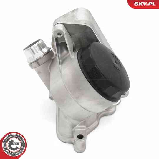 31SKV442 - Oil Cooler, engine oil 