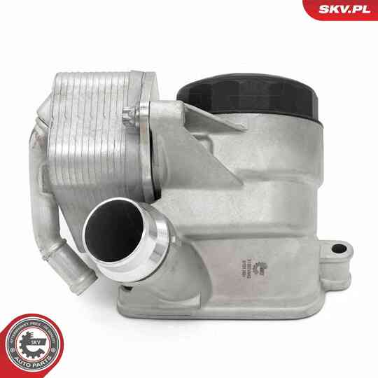 31SKV442 - Oil Cooler, engine oil 