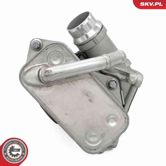 31SKV442 - Oil Cooler, engine oil 