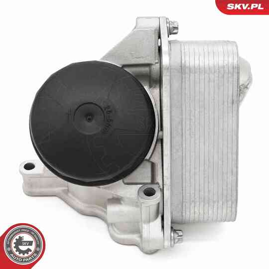 31SKV442 - Oil Cooler, engine oil 