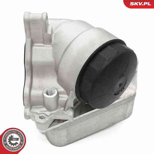 31SKV442 - Oil Cooler, engine oil 