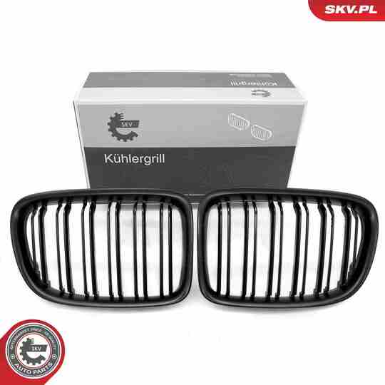 66SKV234 - Radiator Grille 