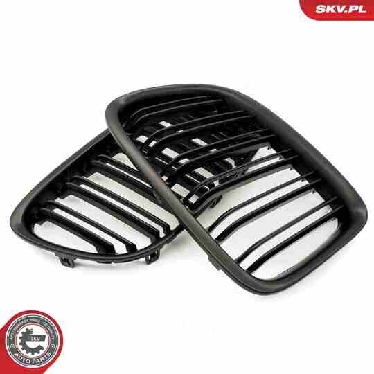 66SKV234 - Radiator Grille 