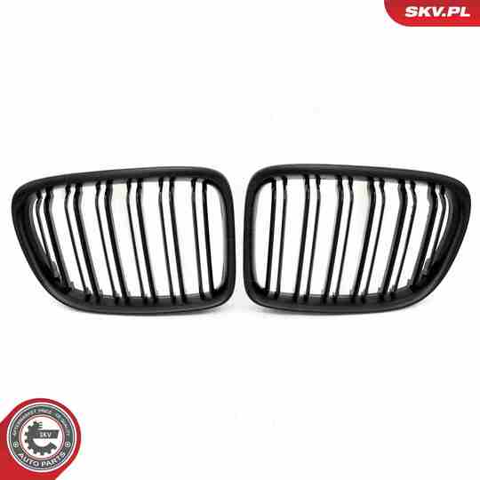 66SKV234 - Radiator Grille 