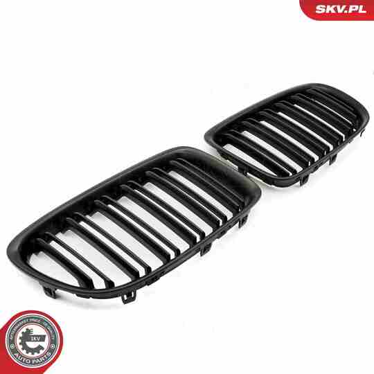 66SKV234 - Radiator Grille 