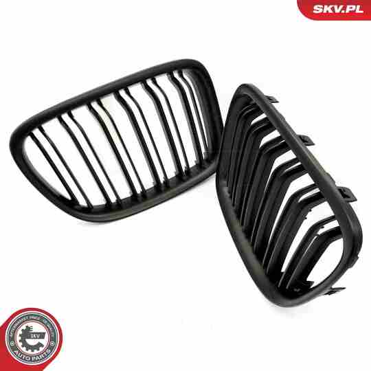 66SKV234 - Radiator Grille 