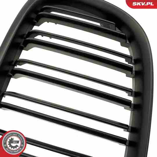 66SKV234 - Radiator Grille 