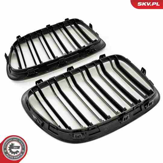 66SKV234 - Radiator Grille 