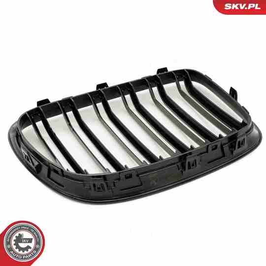 66SKV234 - Radiator Grille 