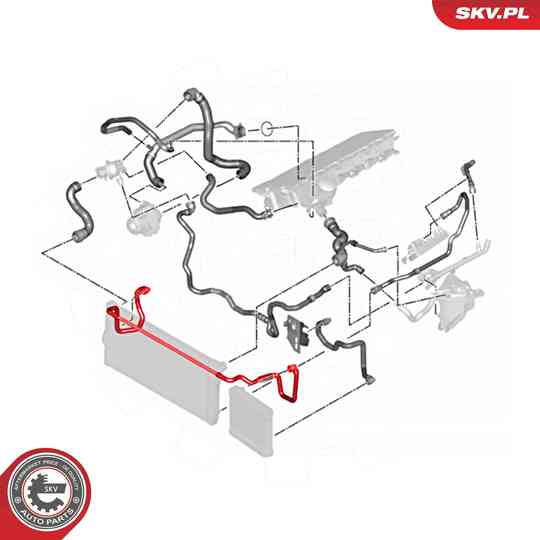 54SKV769 - Radiator Hose 