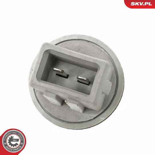 17SKV983 - Sensor, innertemperatur 