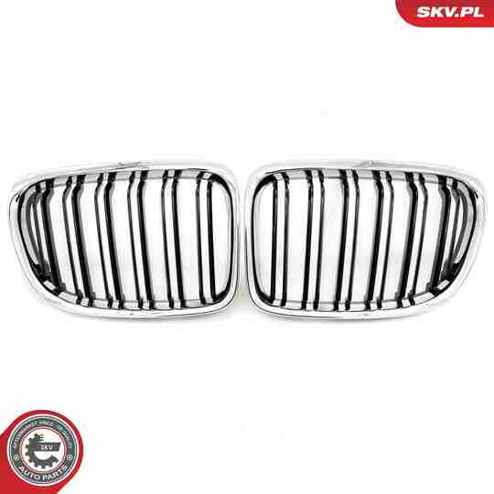 66SKV235 - Radiator Grille 