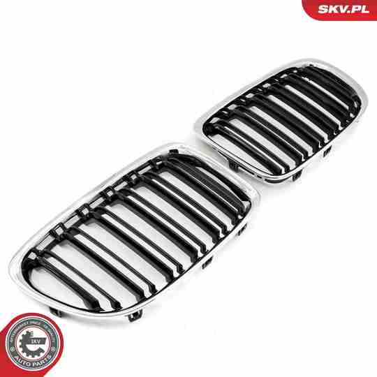 66SKV235 - Radiator Grille 