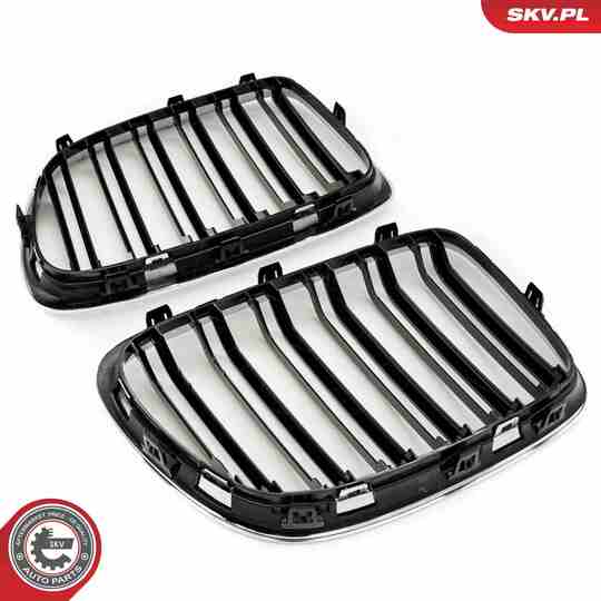 66SKV235 - Radiator Grille 