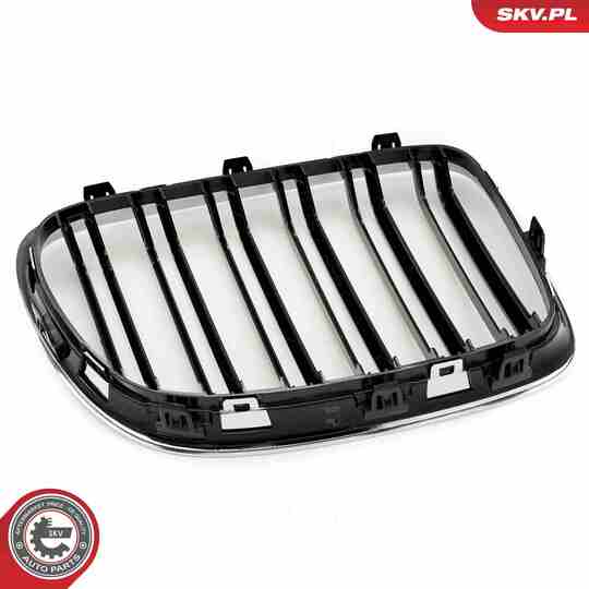 66SKV235 - Radiator Grille 