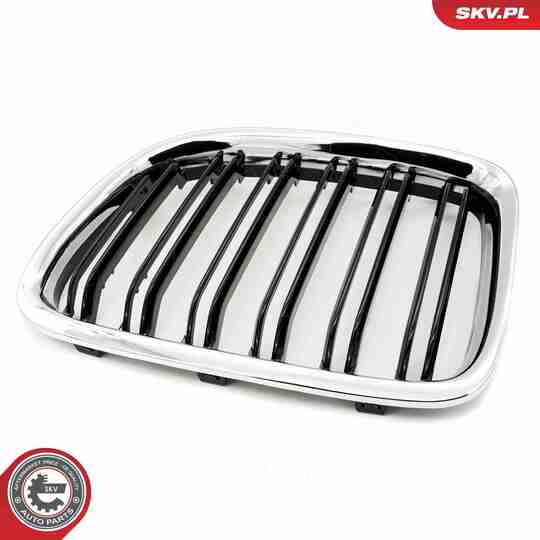 66SKV235 - Radiator Grille 