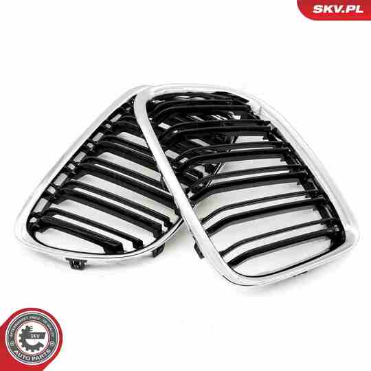 66SKV235 - Radiator Grille 