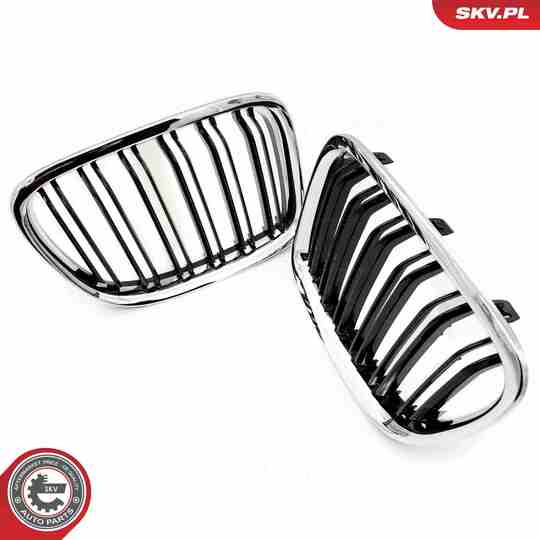 66SKV235 - Radiator Grille 