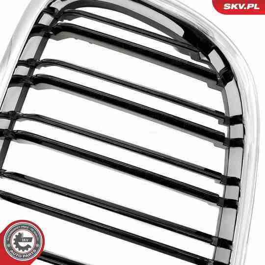 66SKV235 - Radiator Grille 