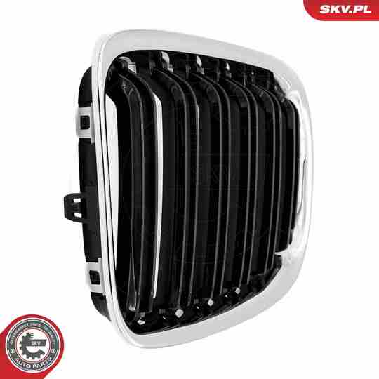 66SKV235 - Radiator Grille 