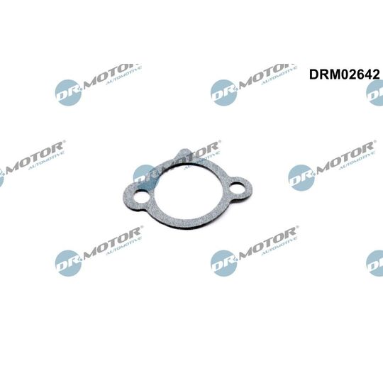 DRM02642 - Seal, timing chain tensioner 