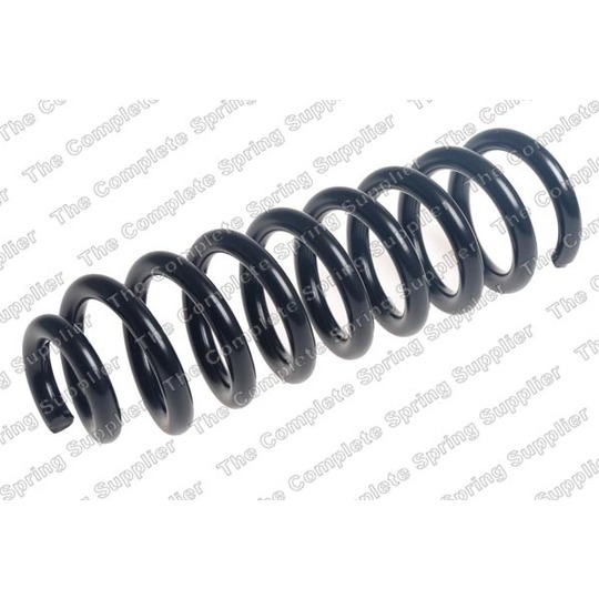 4256929 - Coil Spring 