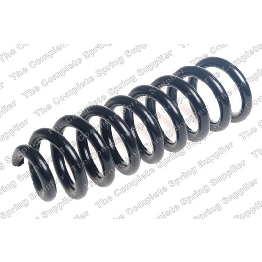 4256931 - Coil Spring 