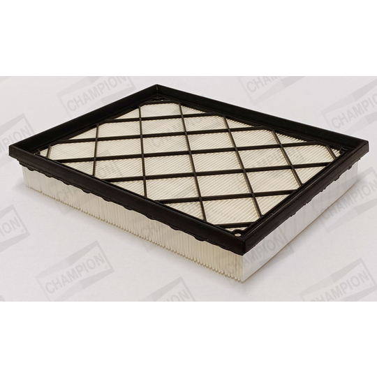 CAF101189P - Air filter 