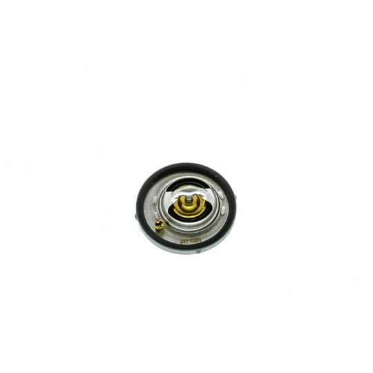THRAZ-7031 - Thermostat, coolant 