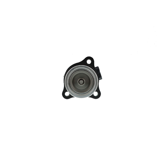 EGRAZ-7004 - EGR Valve 
