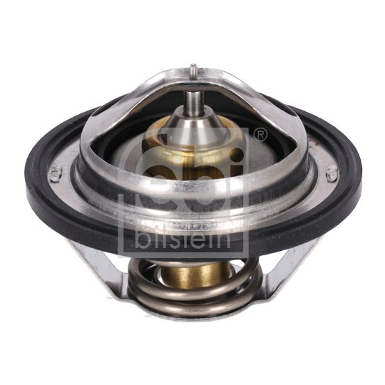 196060 - Thermostat, coolant 