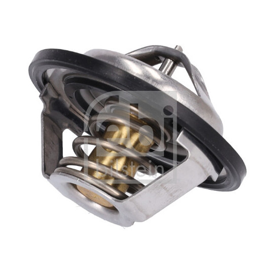 196060 - Thermostat, coolant 