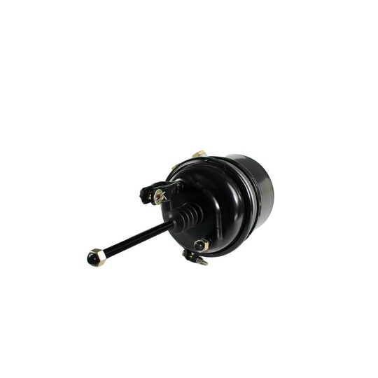 2253030101 - Spring-loaded Cylinder 