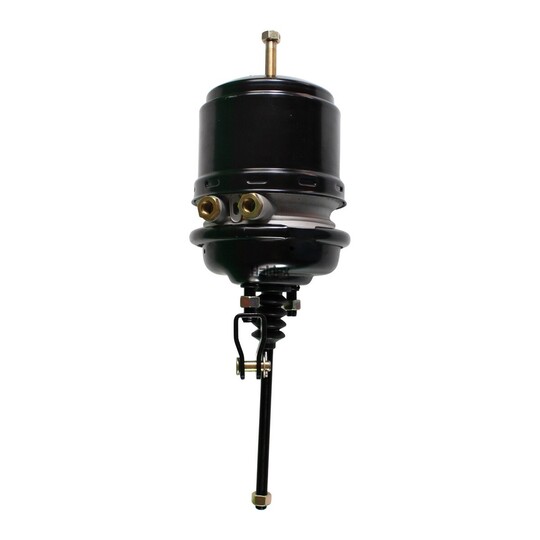 2253030101 - Spring-loaded Cylinder 