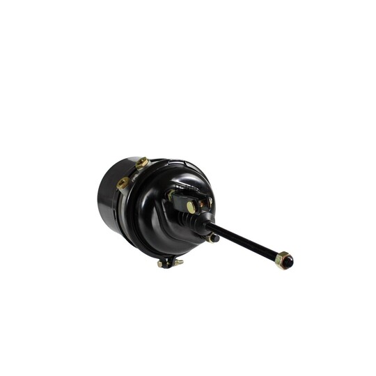 2253030101 - Spring-loaded Cylinder 